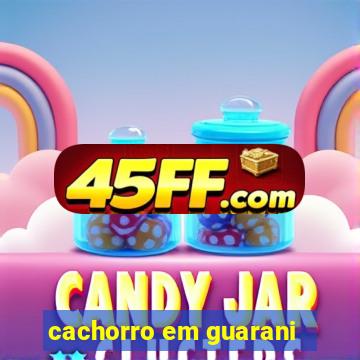 cachorro em guarani